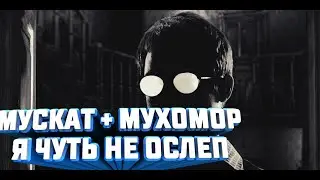 МУХОМОР + МУСКАТНЫЙ ОРЕХ | Я ЧУТЬ НЕ ОСЛЕП