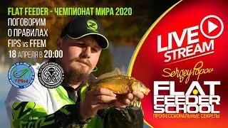 Правила Чемпионата Мира по ловле на FLAT FEEDER / #6 Лекция / FLAT FEEDER SCHOOL