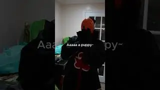Tobi Stole A Puppy 