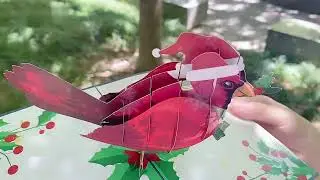 3D Pop Up Cardinal Greeting Card Only $12