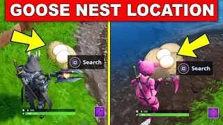 Search Waterside Goose Nests – ALL 6 LOCATIONS (14 DAYS OF FORTNITE CHALLENGES)