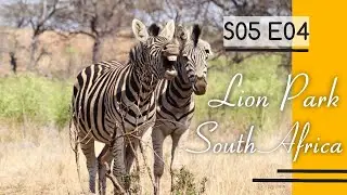 South Africa: Lion and Safari Park | S05 E04