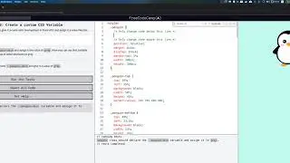 freeCodeCamp: Create a custom CSS Variable