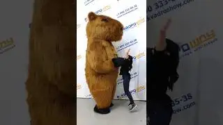 Надувной костюм капибары: когда мемы оживают в реальной жизни #капибара #capybara #shorts