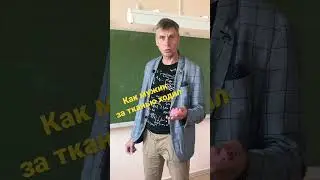 Дроби на практике