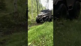 в тайге