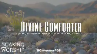 Divine Comforter | Beautiful Worship Music for Relaxation, Study, & Sleep