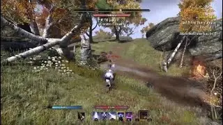 ESO|SHIELD STACKER 1VX'S CYRODIL