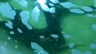 УЗВ 2