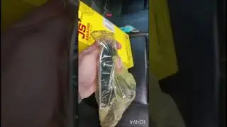 хентай ТО
