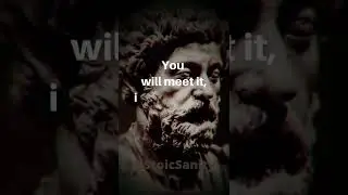 DO NOT WORRY ABOUT FUTURE Motivational Stoic Quote - Marcus Aurelius #shorts