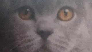 Ну что вот вам решение