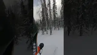 Шерегеш весна 2023 часть 2  #шерегеш #freeride #лыжи #powder #armada #фрирайд #ski #пухляк #skiing