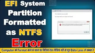 Error Windows Detected EFI System Partition Was Formatted As NTFS Format System Partition As FAT32