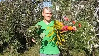 Как правильно знакомиться с красивыми телочками. Дикобраз