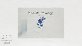 LXX - orchid flowers (Official Audio)