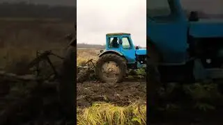 Синий трактор