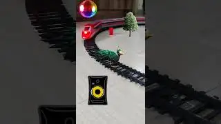 Peacock 🦚 is dancing | Peacock Dance Videos