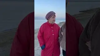Супербусины истории