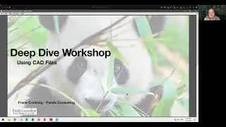 Working with CAD Files in ArcGIS Pro - July 2021