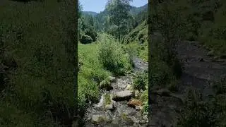 #алтай#горныйалтай#отдыхвгорах#сибирь#россия#russia#subriya#altay