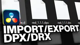 DaVinci Resolve | Import/Export .dpx & .drx files (Stills)