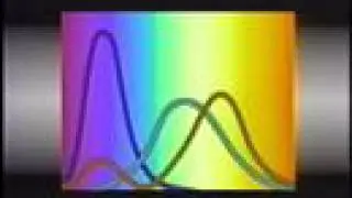 Light and Color 5 of 6