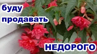 ПРОДАЖА  НУЖНЫ ДЕНЬГИ 89086553950 Елена