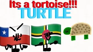 ObjectFlags | That’s a tortoise!🐢