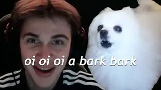 OI OI OI A EYE EYE vs DOG