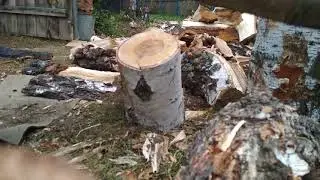 РУБКА ДРОВ