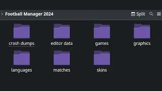 Where To Install Football Manager Mods