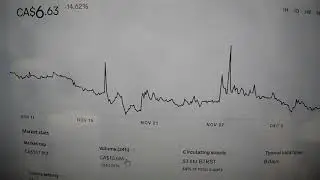 BrainTrust Crypto BTRST Hmm doesn't look that great my thoughts December 2021 *NOT FINANCIAL ADVICE*