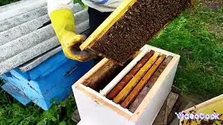 "Объединение двух семей через газету"