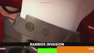 Rabbids Invasion Promo (Nickelodeon Bananana! TV3)