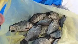 Волгоград! Рыбалка в Приволжском!!!