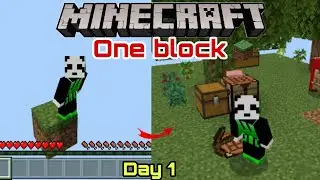 Minecraft One block Day 1