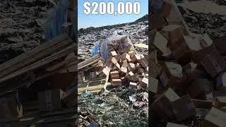 $200,000 of Sealed Magic Cards Found in a DUMP?!? | MTG 