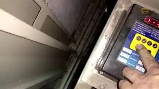 Rooftoppers once again left us a surprise!