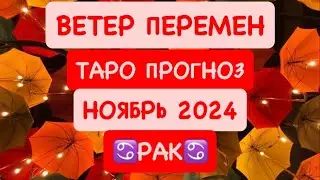 ♋️РАК♋️ ВЕТЕР ПЕРЕМЕН .НОЯБРЬ 2024. ТАРО ПРОГНОЗ