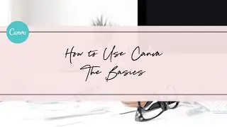 How to Use Canva in Your Business - The Basics 2017