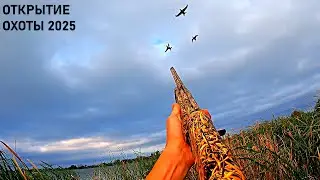 OPENING OF DUCK HUNTING 2025. FIRST AUTUMN OF THE SPANIEL DARA / MAX HUNTER
