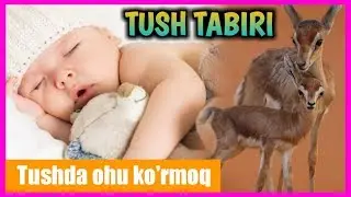 Tushda ohu ko'rsa nima bo'ladi | Тушда оху курса нима булади