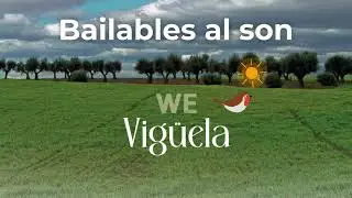 08. Bailables al Son / Danceables in Son Style (album: We)