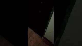 СТЕРЕОПОЛИНА  - Последнее свидание