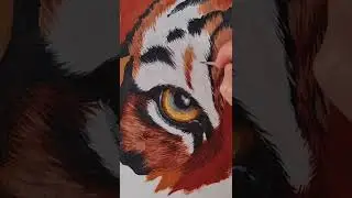 Как нарисовать шерсть гуашью? 