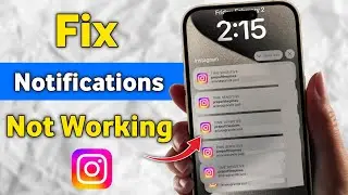 How to Fix Instagram Notifications Not Working on Android & iPhone