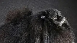 Прив мега трансляция по разным играм тут весело