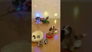 The basset hound was left hungry for the hedgehogs.