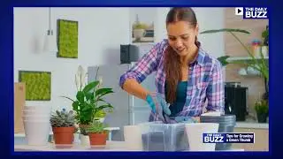 A Gardening for Beginners Guide for Younger Generations Wanting to Dig In!
